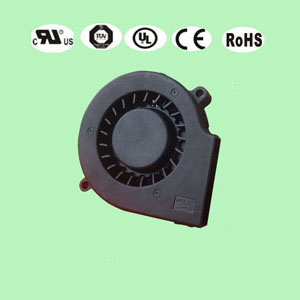 7015蘑菇视频安卓版下载