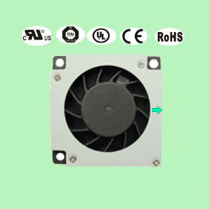 3507蘑菇视频安卓版下载