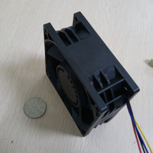 9238蘑菇视频APP黄 9238蘑菇视频APP黄