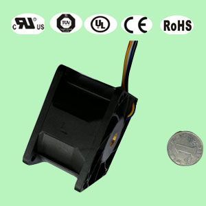 6038蘑菇视频APP黄